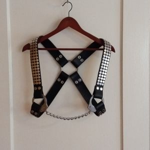Leather harness